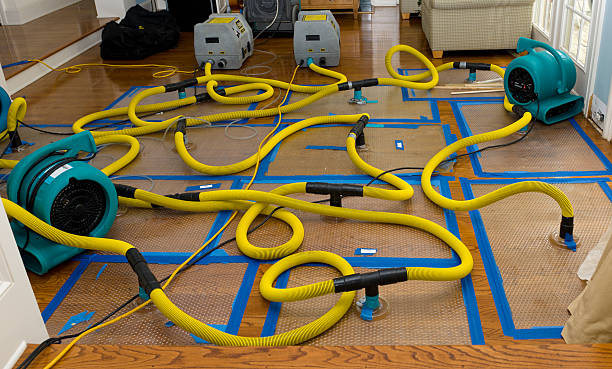 Professional Sewage Cleanup technician working in Sparta, MI